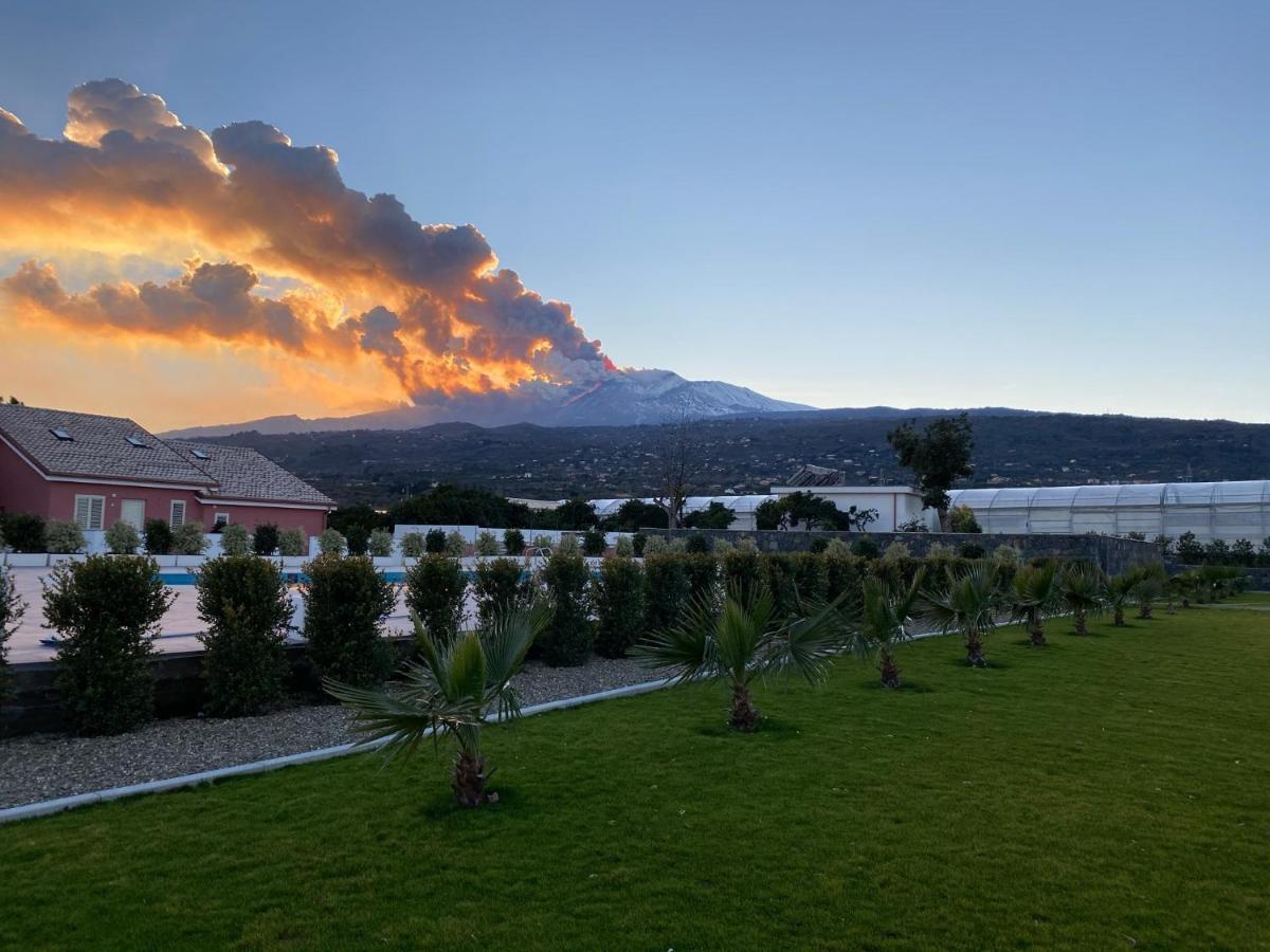 Dipladenia Garden Country Resort ماسكالي المظهر الخارجي الصورة